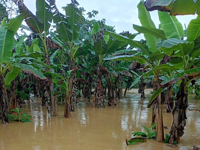 Inundaciones en Necoclí - foto cortesía