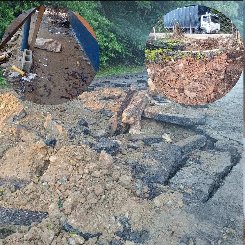 Daños en vivero cacaotero de Valdivia- fotos cortesía para Caracol Radio