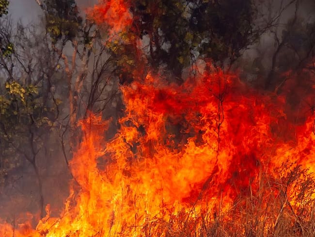 30 hectáreas de vegetación ha destruido un incendio en Firavitoba, Boyacá