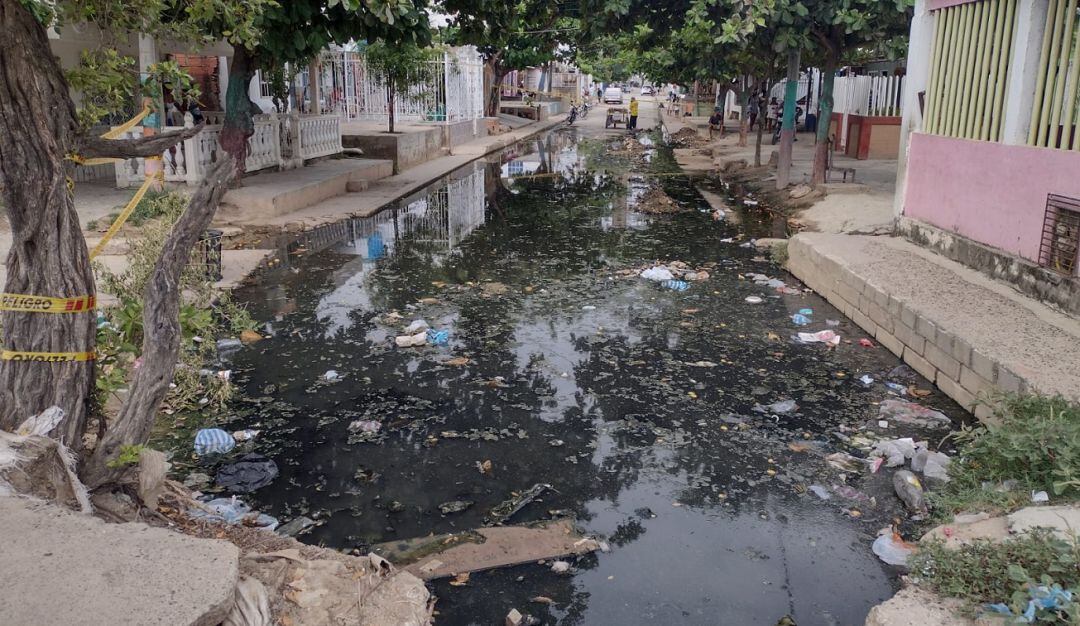La idea es que se examine al paciente, se proceda a dar tratamiento y realización de pruebas médicas para poder confirmar si se trata de dengue