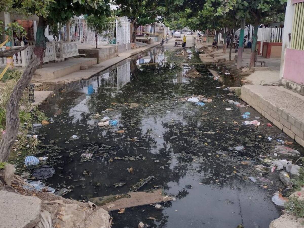 Dadis pide acudir a centro de salud cercano si presenta síntomas de dengue