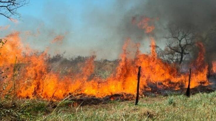 Alerta roja en 13 municipios del Cesar por incendios forestales