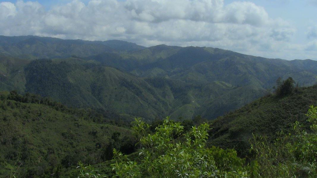 Alcaldía Municipal Santa Rosa Del Sur