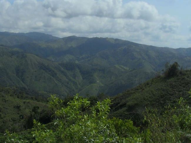 Alcaldía Municipal Santa Rosa Del Sur