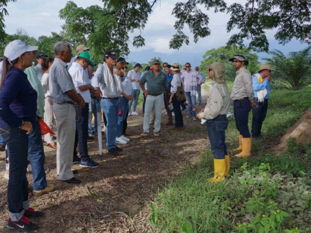 Campesinos y la expansión avícola, en medio de la guerra por el agua