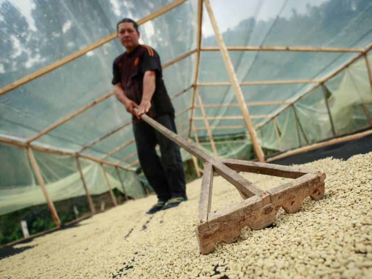 El paro camionero tiene a los cafeteros sin insumos ni exportaciones