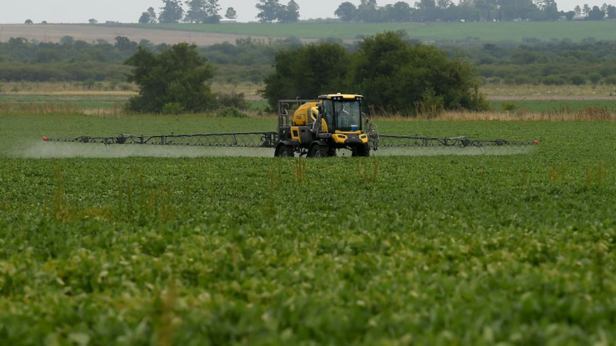 Colombia busca aumentar la producción de Soya para atender la demanda interna