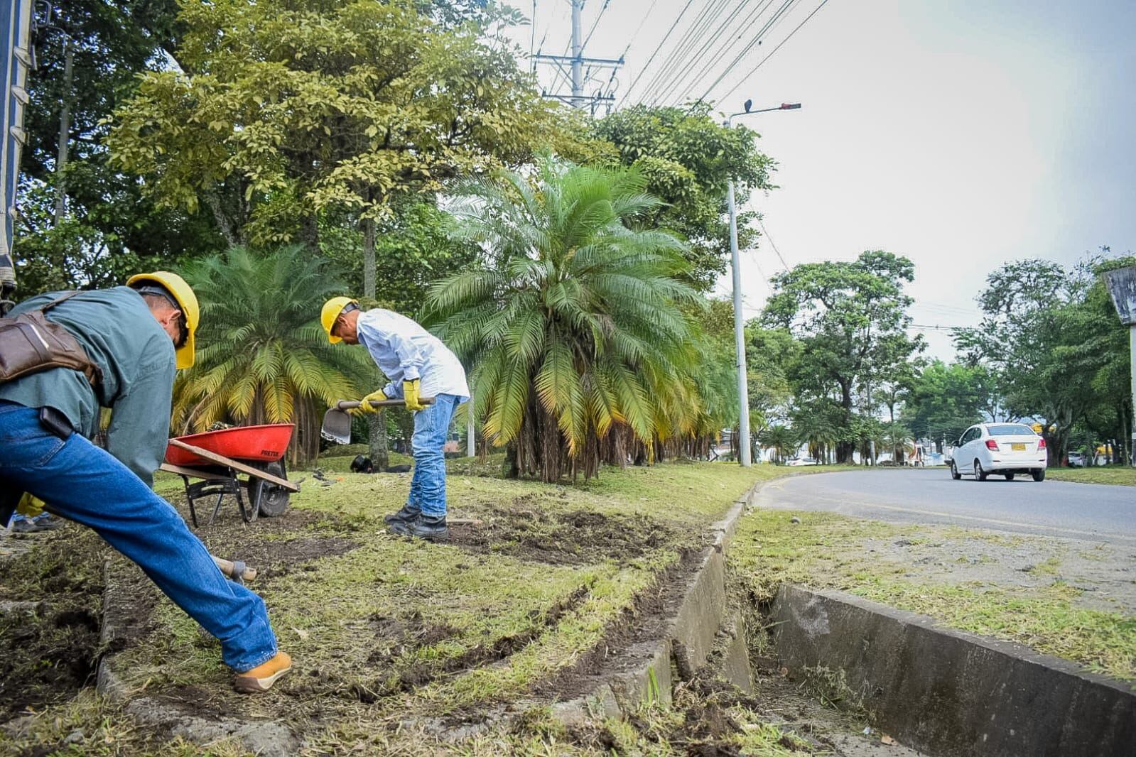 Iniciaron labores de embellecimiento del separador de la vía