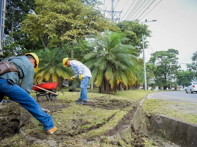 Iniciaron labores de embellecimiento del separador de la vía
