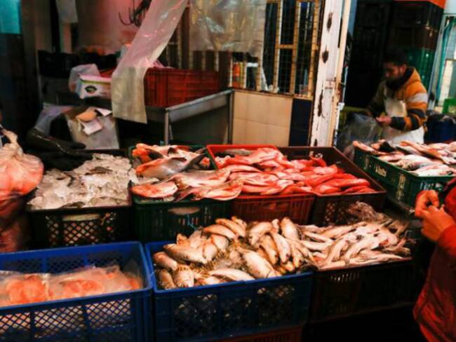 Claves para que el consumo de pescado no le dañe la Semana Santa