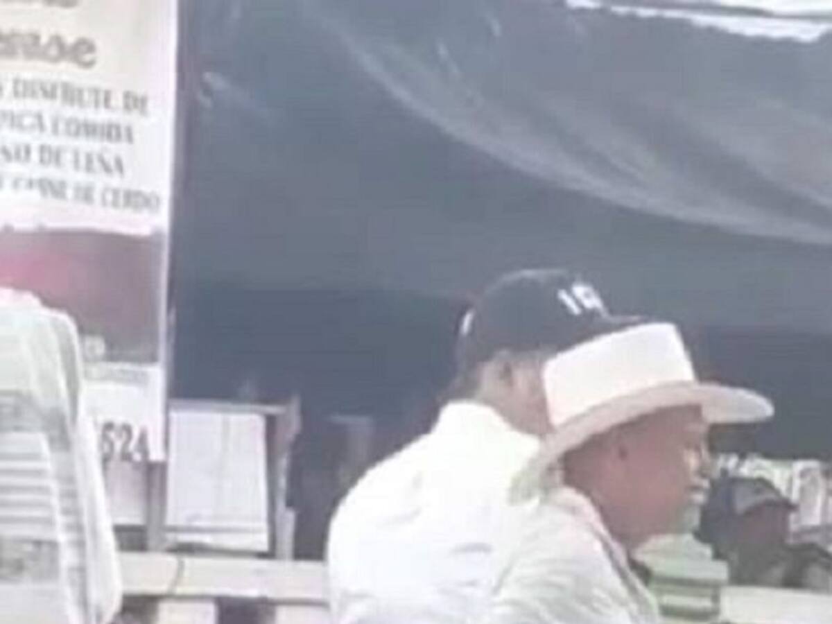 Mujer es amenazada por divulgar video donde se observa maltrato animal