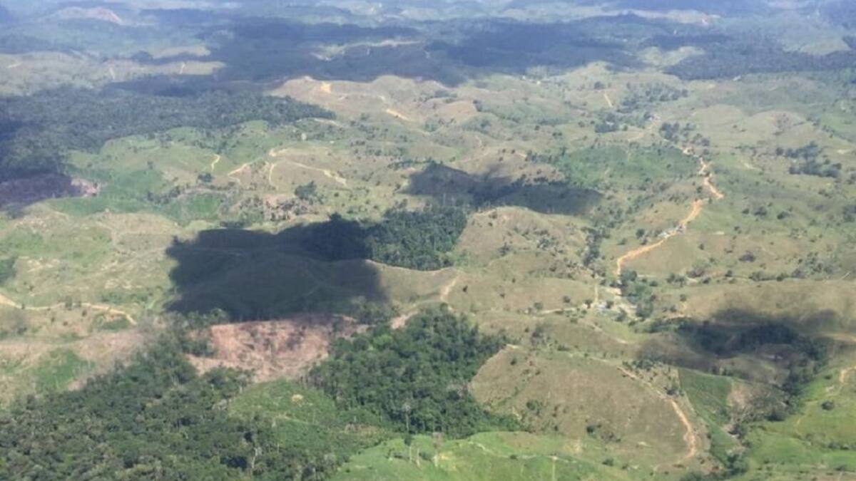 503 indígenas están confinados y desabastecidos por los combates entre ELN y AGC