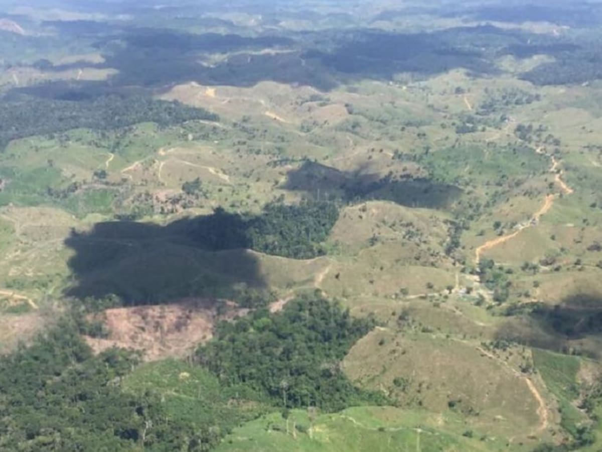 Los bomberos de Segovia, Antioquia, protegen los recursos naturales