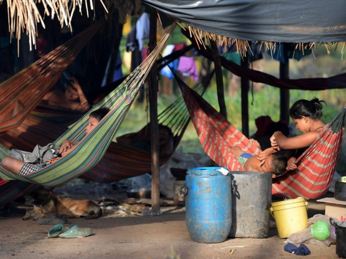 El hambre como catalizador de la tragedia en el Guaviare