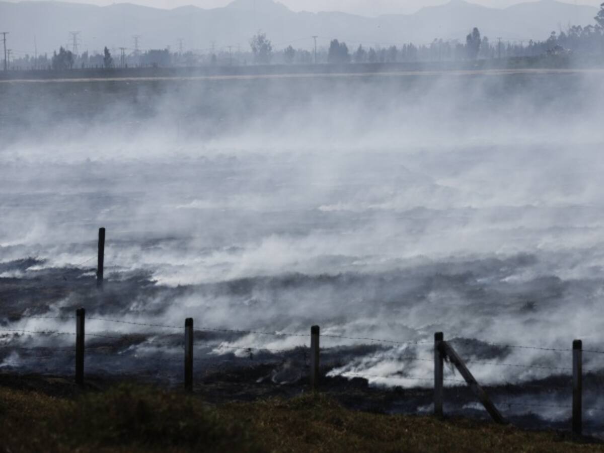 Colombia y Venezuela fueron los países más impactados por el Fenómeno de El Niño