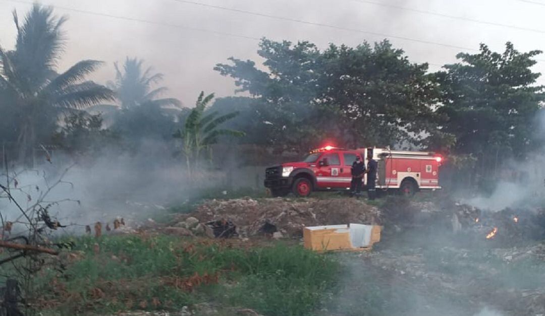 El organismo de socorro atendió 163 incendios forestales en los dos primeros meses de 2021