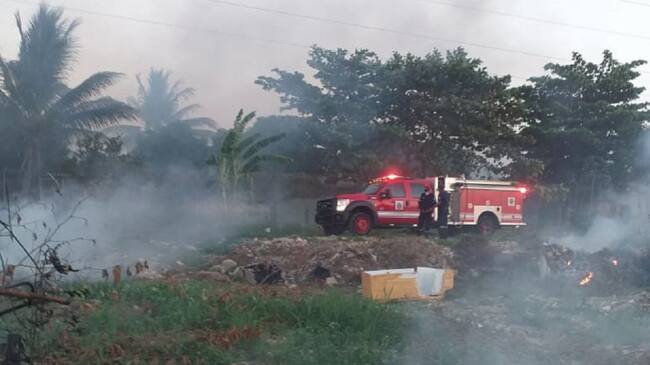 El organismo de socorro atendió 163 incendios forestales en los dos primeros meses de 2021