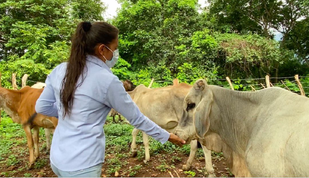 Mujeres en ganadería, en Becerril, Cesar. Asociación Agropecuaria Campo Mujer.