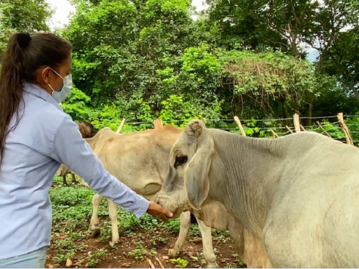 Ganaderas de Becerril impulsan modelo para proteger el medio ambiente