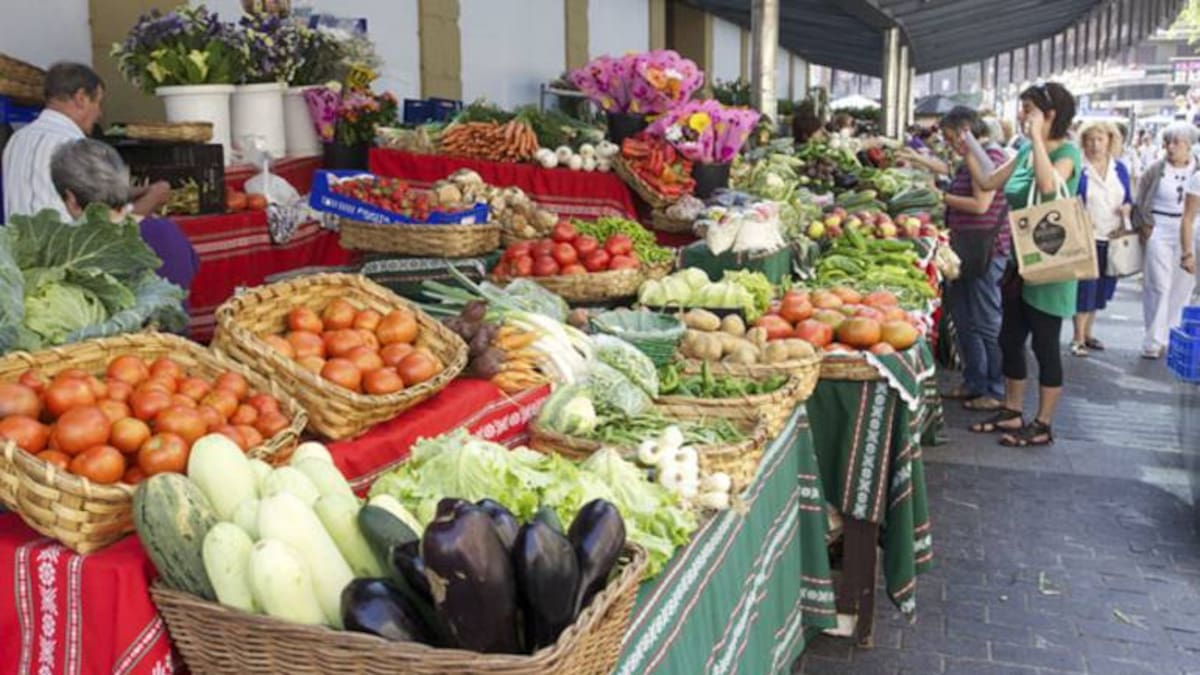 ¿Caída en el precio de los alimentos podría sostenerse con el paso del tiempo?