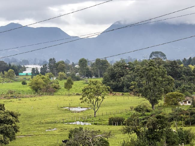 Concejo de Bogotá aprobó recursos para la reserva Thomas van der Hammen