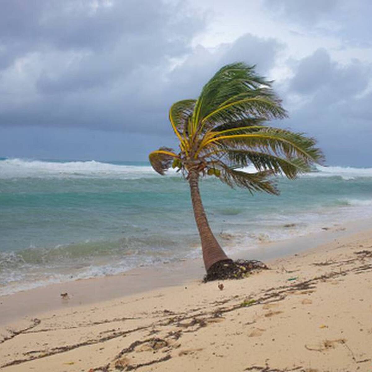 Ideam emite alerta naranja en Atlántico por fuertes vientos