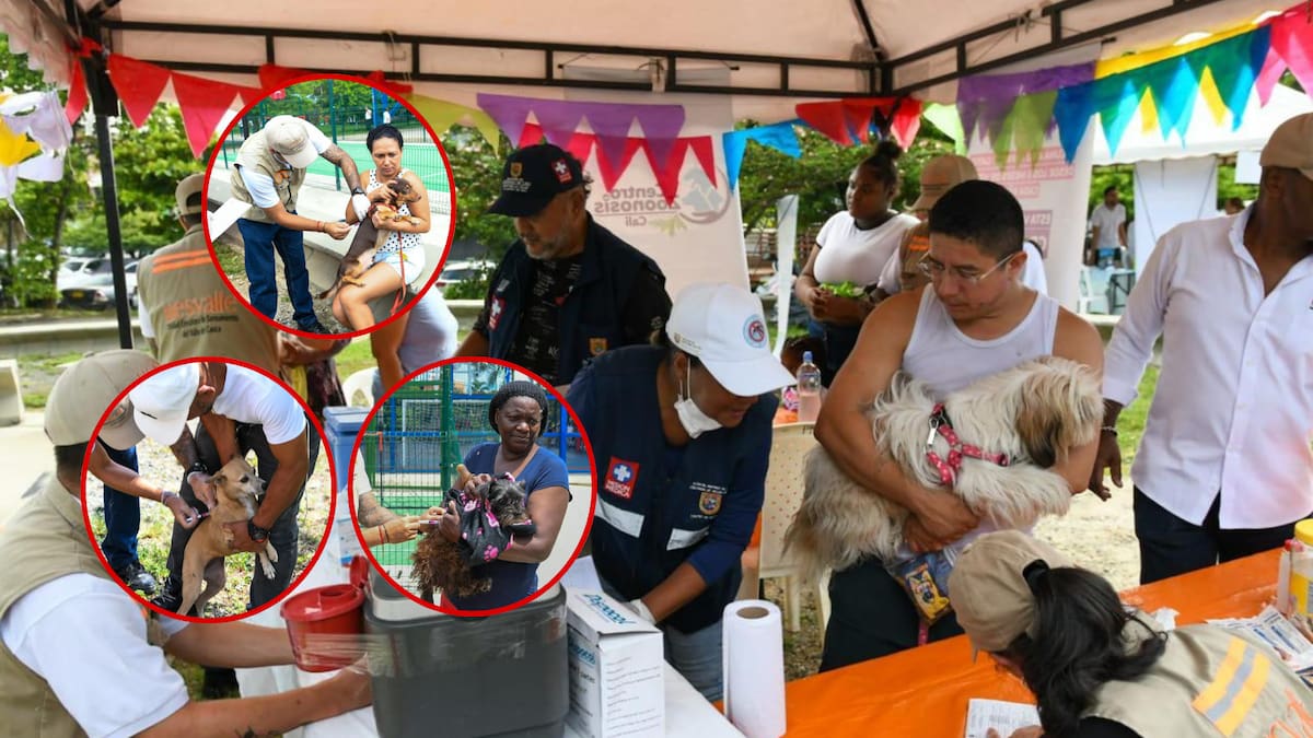 Para evitar casos de rabia, refuerzan vacunación en perros y gatos en el Valle
