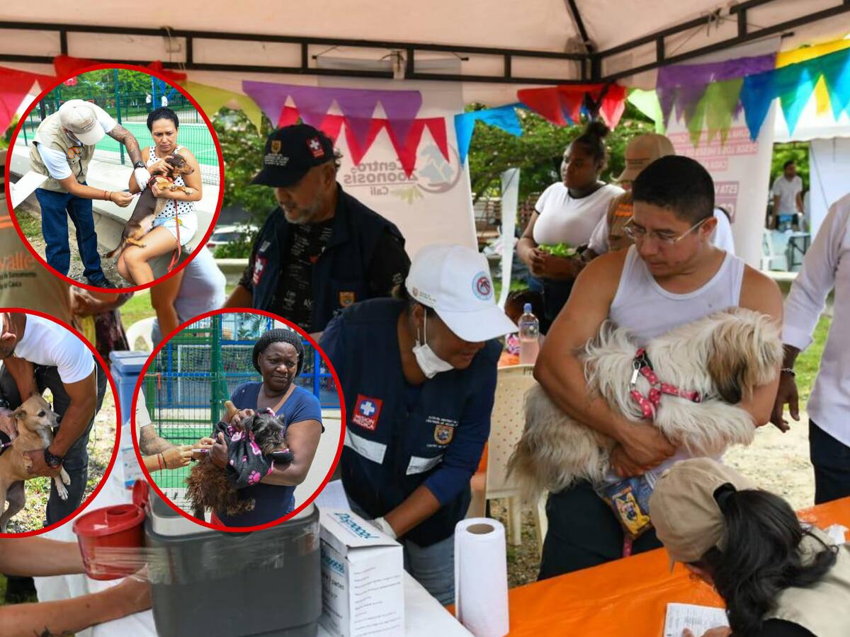 Para evitar casos de rabia, refuerzan vacunación en perros y gatos en el Valle