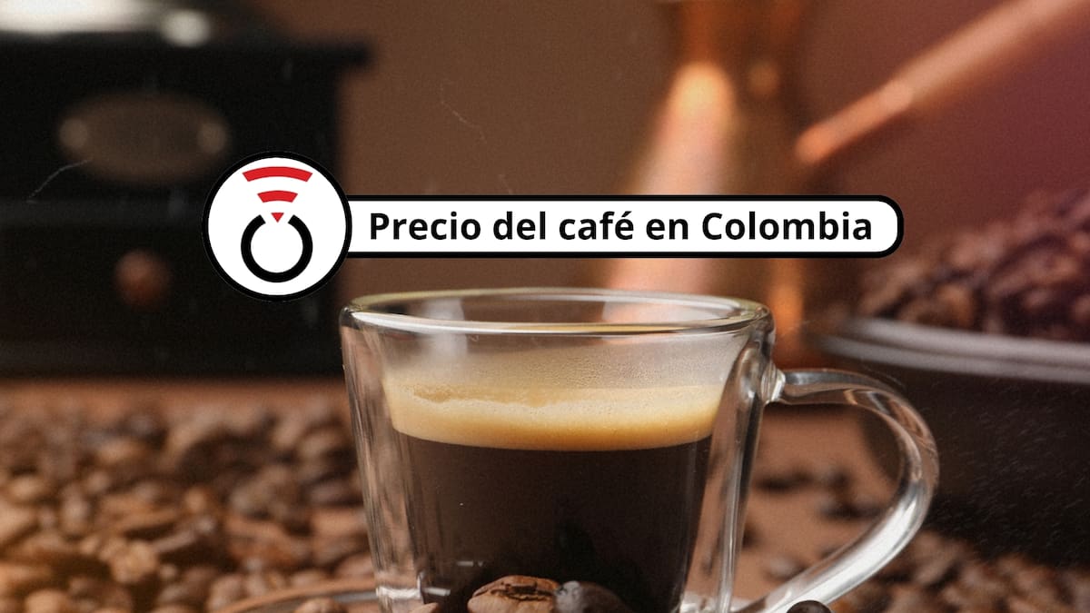 Precio del café en Colombia sigue a la baja el 7 de mayo de 2026: Así cotiza carga, kilo y arroba