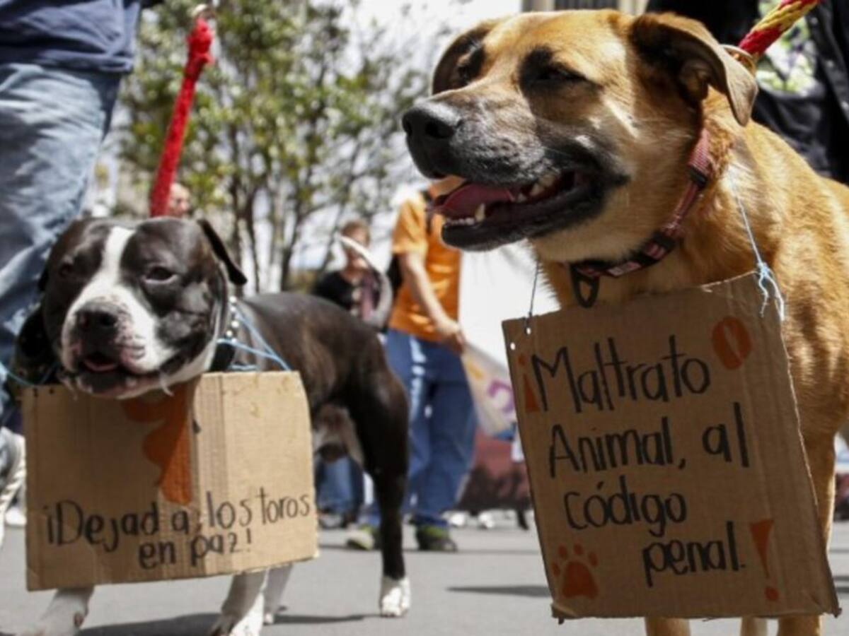 Un hombre en Santa Rosa de Cabal habría asesinado animales para comérselos