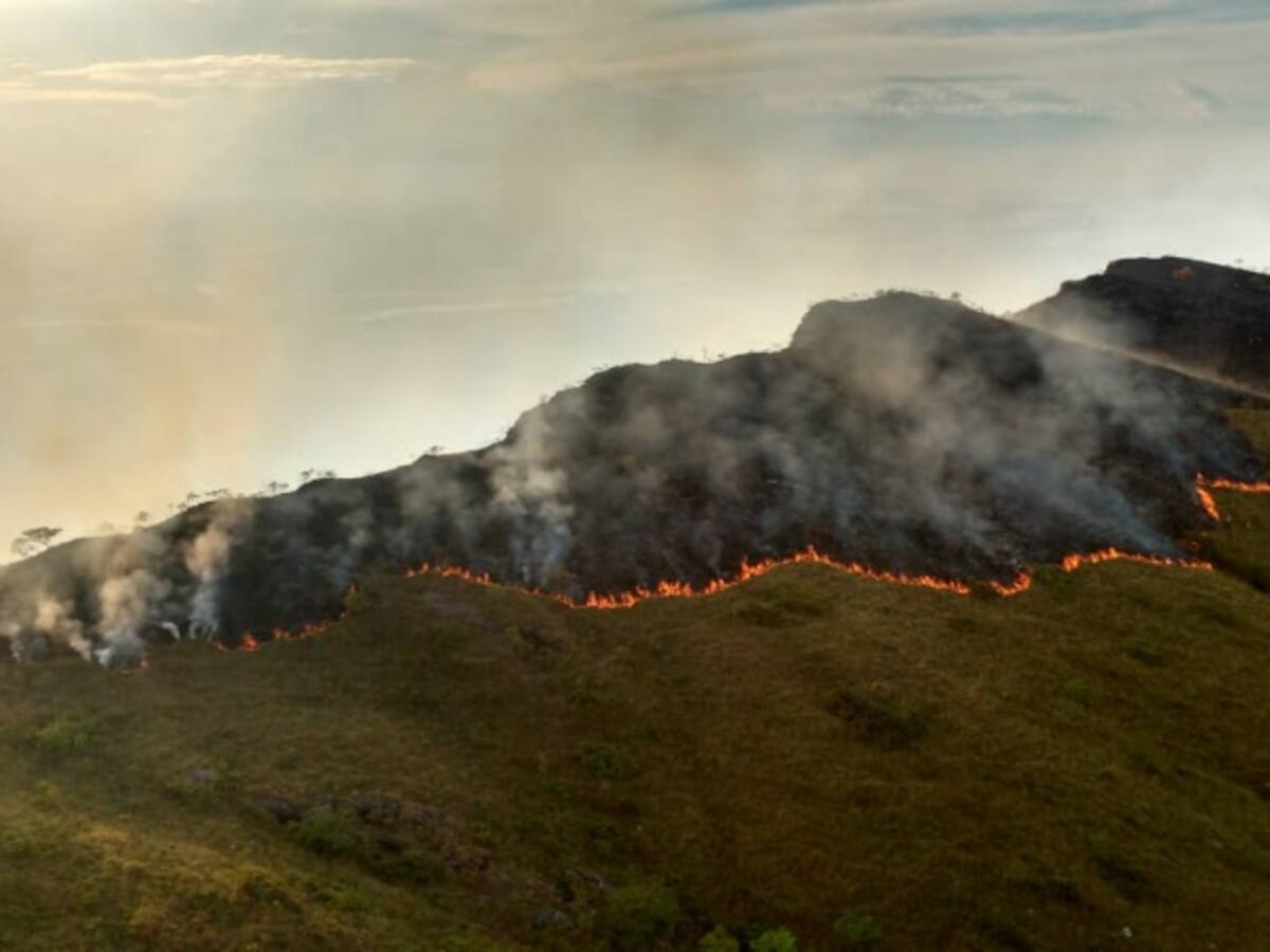 Combaten desde hace 6 días incendio forestal en Tolima