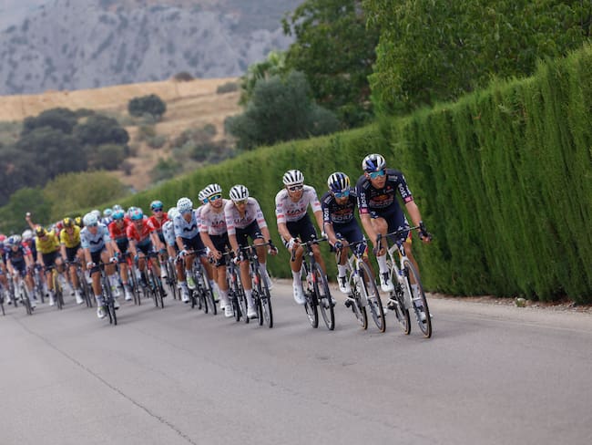 El pelotón ciclista durante la sexta etapa de la Vuelta a España, este jueves entre Jerez de la Frontera y Yunquera, de 185,5 kilómetros de recorrido. EFE/ Javier Lizón
