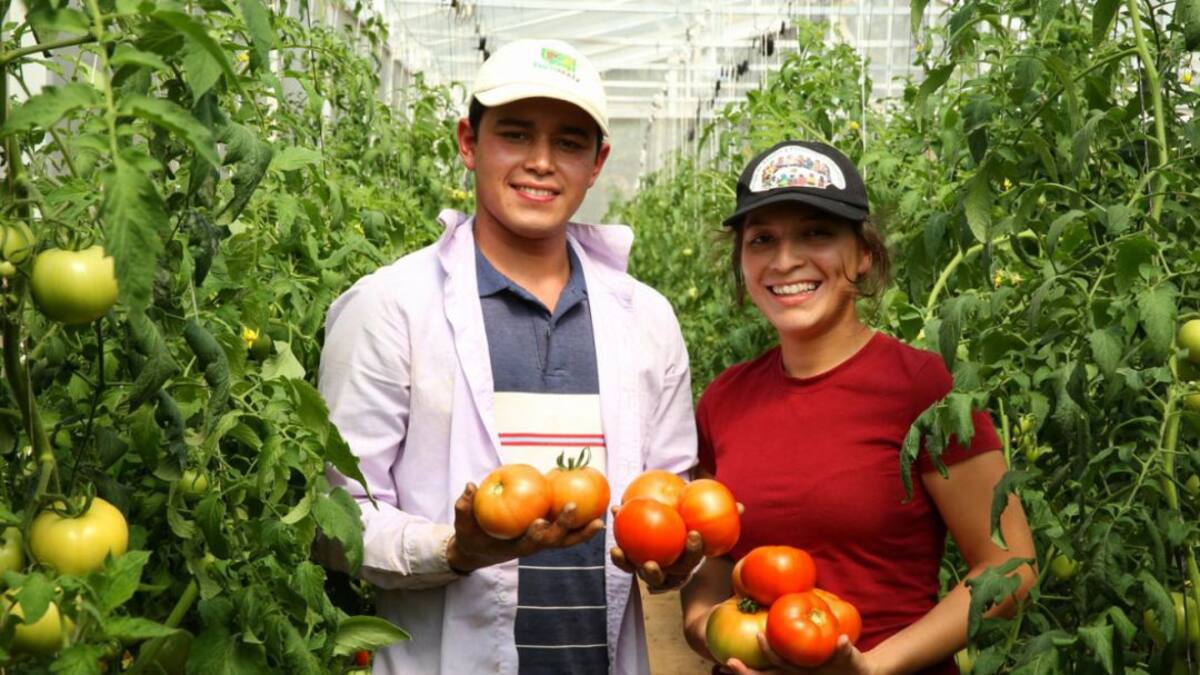 Abierta convocatoria para el Premio a la Innovación Juvenil Rural
