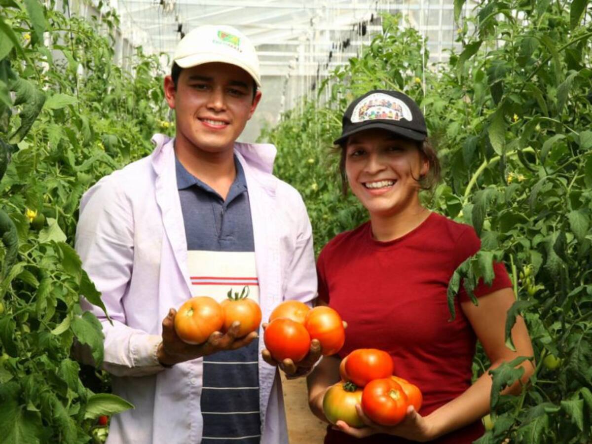 Abierta convocatoria para el Premio a la Innovación Juvenil Rural