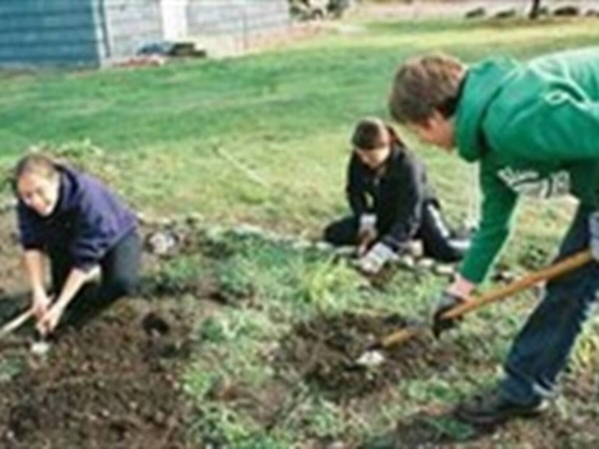 Abren convocatoria a estudiantes preocupados por el medioambiente