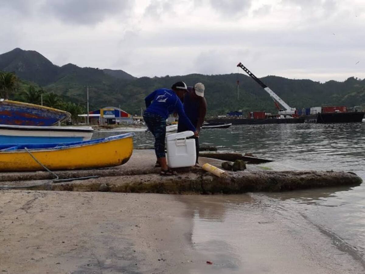 Después de diez meses, los pescadores en Providencia vuelven a sus faenas
