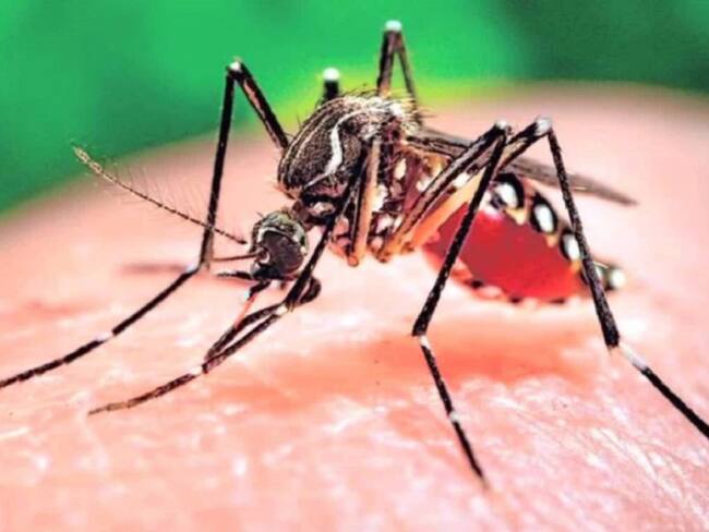 6 personas han fallecido por probable dengue en el Atlántico