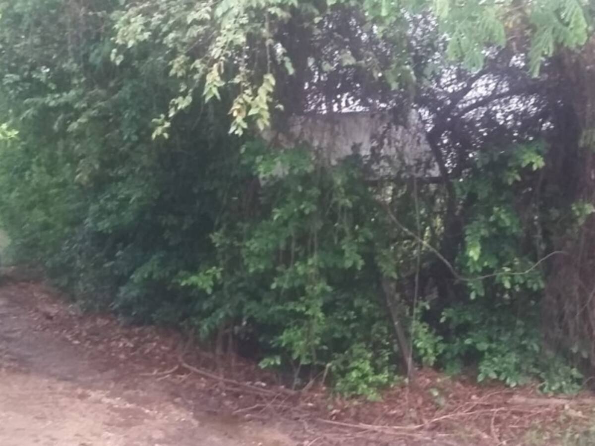 Delincuentes asaltan a turistas en Melgar, Tolima