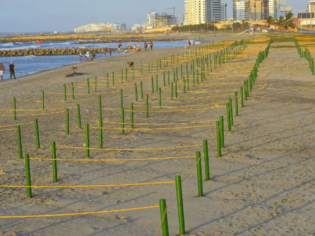 Distrito de Cartagena habilitó nuevo tramo de playa en Marbella