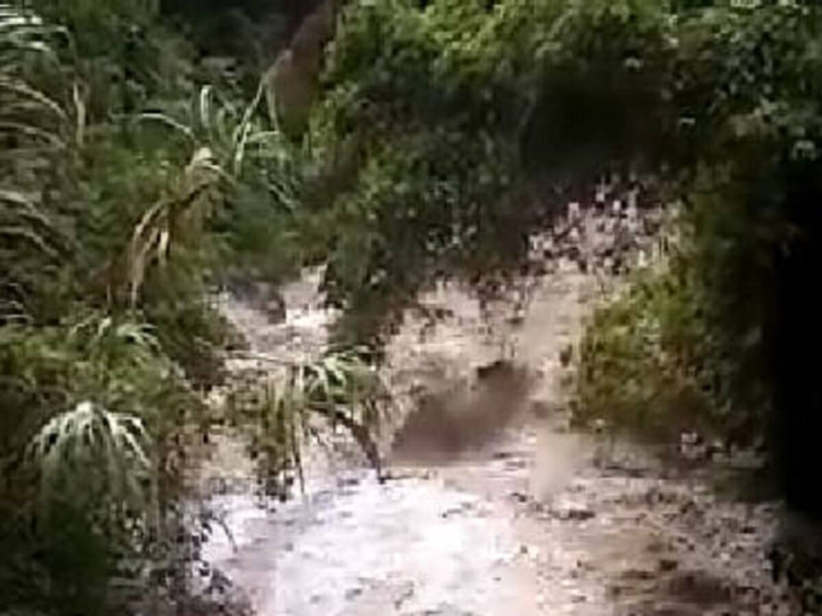 Varios ríos reportan alto nivel en el Tolima por las fuertes lluvias