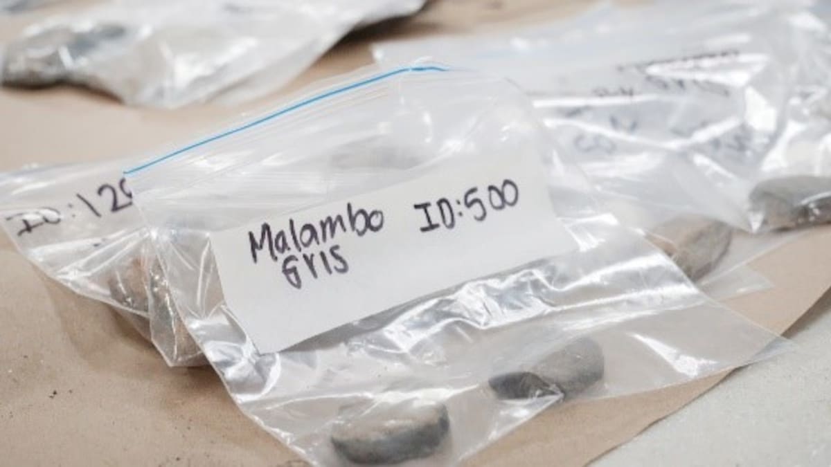 La apuesta de la Universidad del Magdalena por un museo arqueológico virtual