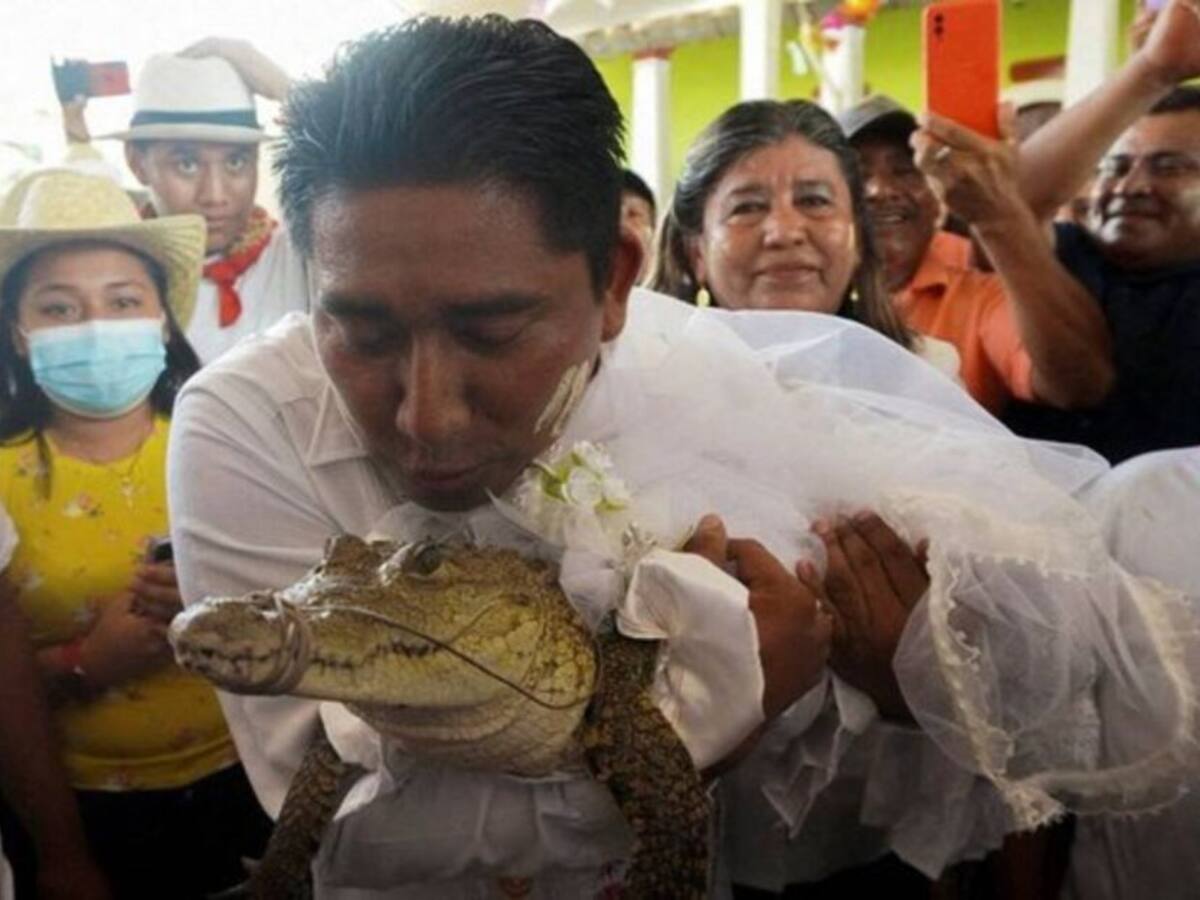 México: alcalde en Oaxaca se casó con un caimán en ritual ancestral