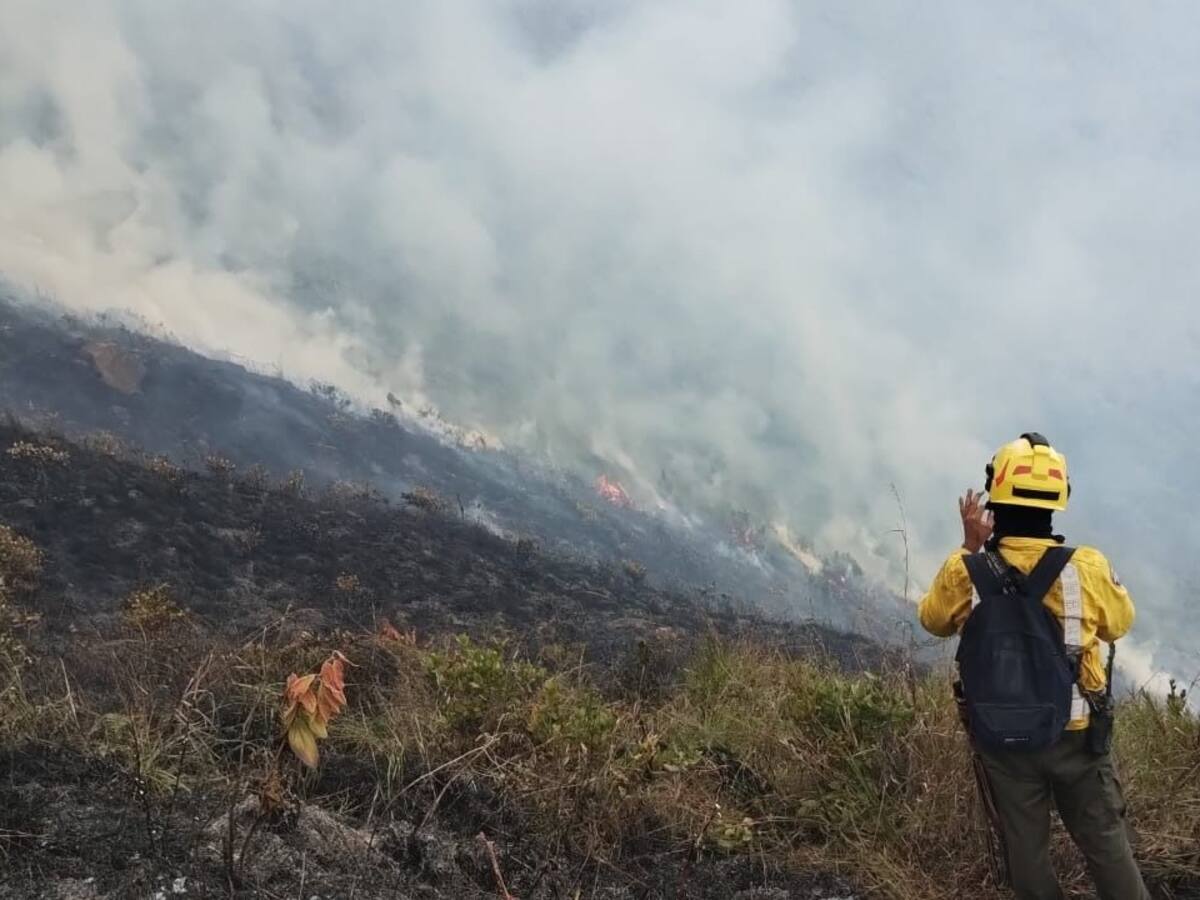 Al Cerro Quitasol lo están quemando, loteando y vendiendo con compraventas falsas
