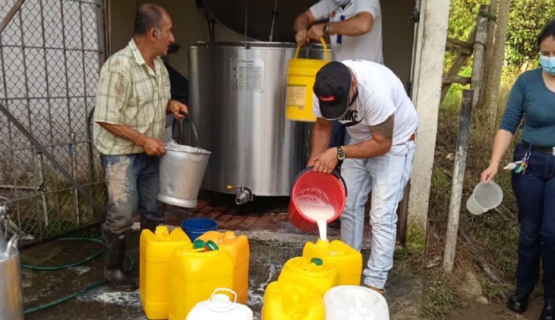 La leche se está perdiendo en el Quindío