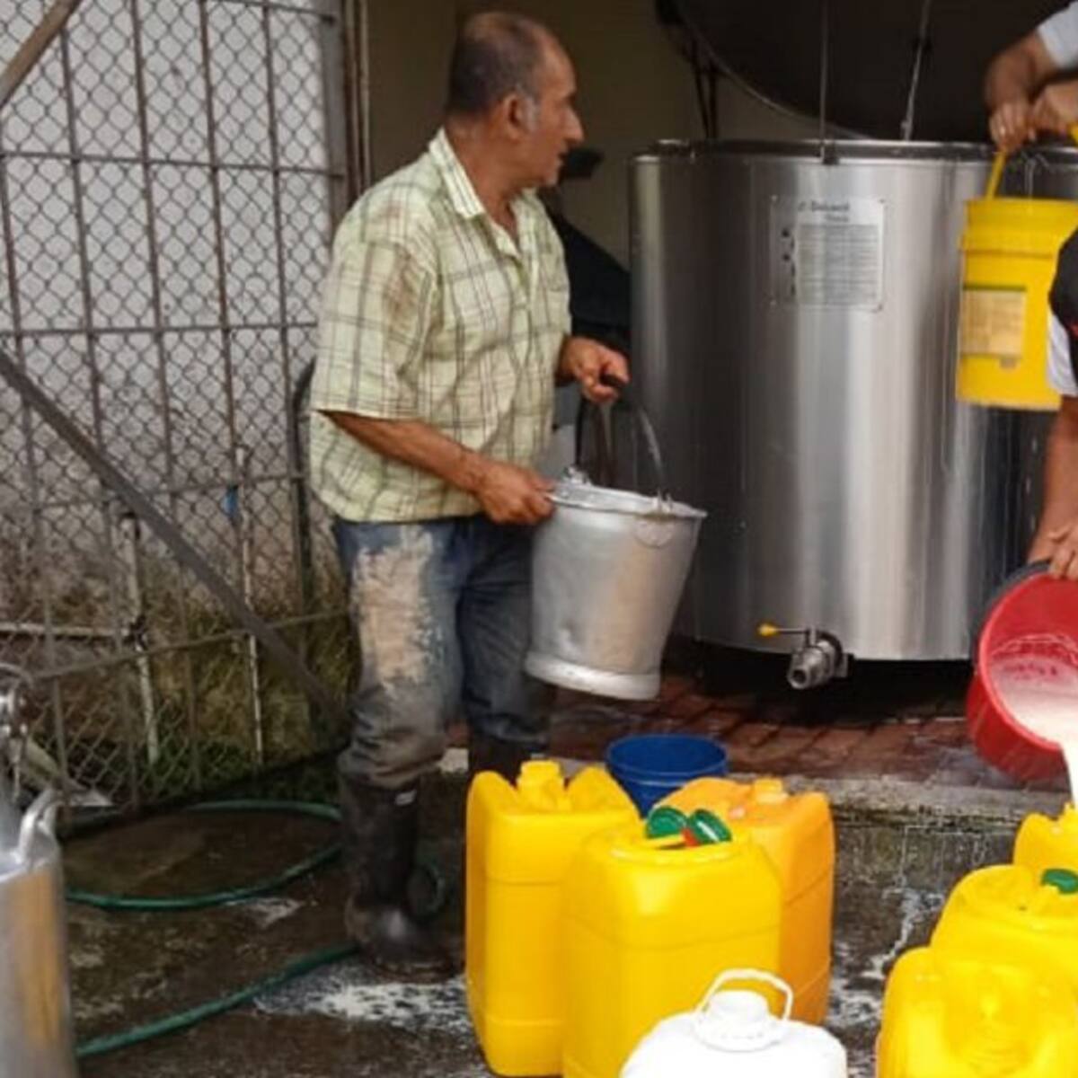 SOS de los ganaderos del Quindío, leche y carne represada por bloqueos