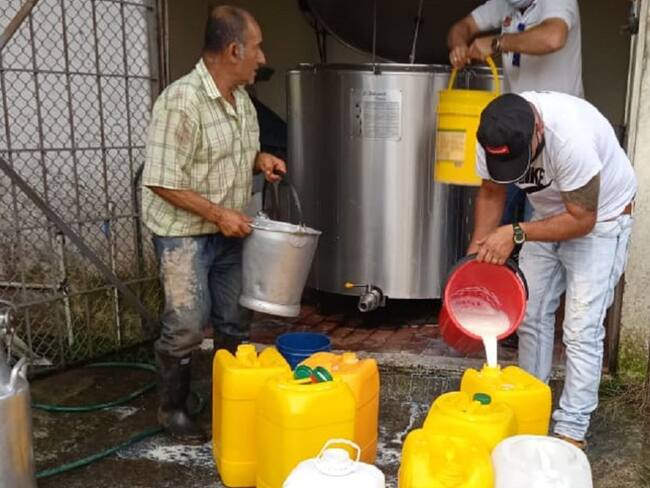 La leche se está perdiendo en el Quindío