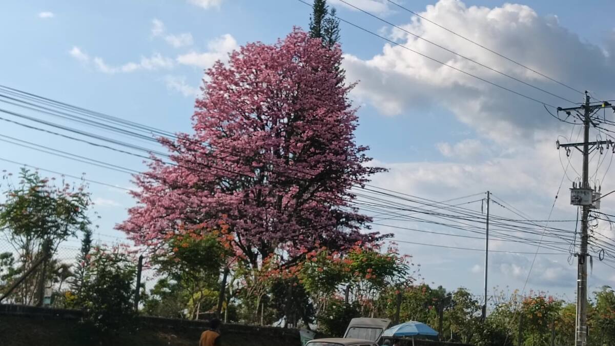 Lunes 1 de septiembre, las noticias más importantes de Armenia y Quindío