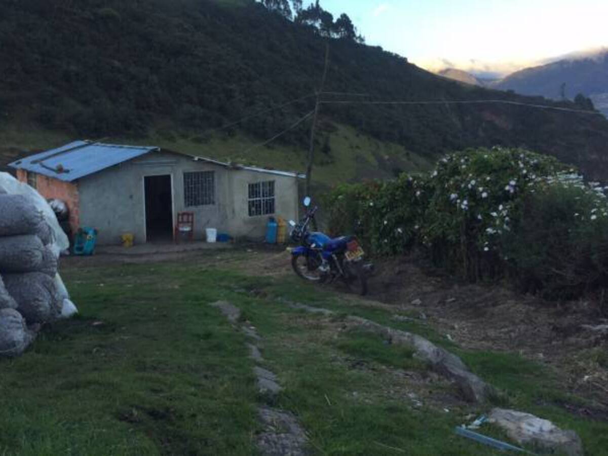 ¿Quién es el testaferro de las Farc?