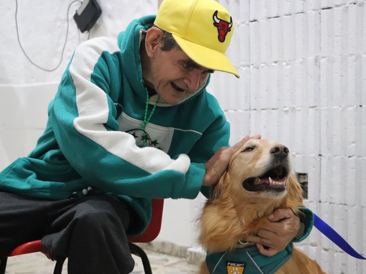 Medellín impulsa el bienestar emocional de adultos mayores con perros rescatados de La Perla