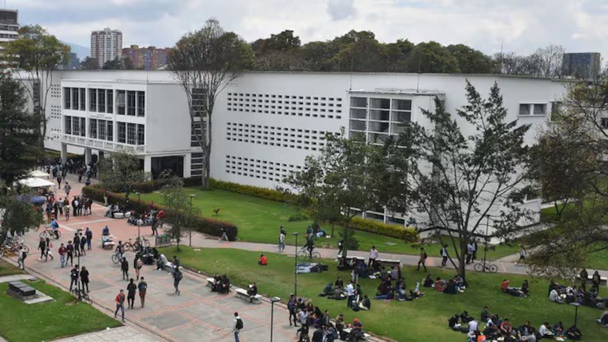 La Universidad Nacional está siendo instrumentalizada para una Constituyente: profesor